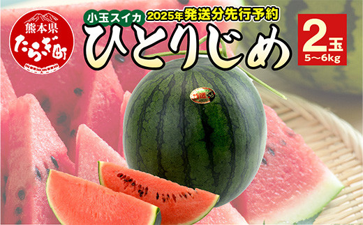 
            【2025年5月～6月発送 先行予約】小玉スイカ ひとりじめ (2玉)  令和7年 夏 スイカ 食べきりサイズ 西瓜 フルーツ 果物 旬の味覚 すいか 甘い 産地直送 008-0663
          