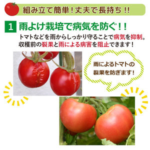 daim 雨除けセットDX 組み立て簡単！丈夫で長持ち！！【トマト 棚 雨除け トンネル 野菜 家庭菜園用 ビニールハウス 家庭用 小型 ビニール シート ハウス 園芸 雨よけシート 野菜栽培 家庭菜