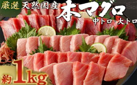 天然国産本マグロ　中トロ・大トロ　１ｋｇ以上 魚 高知県 刺身 刺し身 漬け丼 海鮮丼 おかず 魚介類 海鮮 海産物 まぐろ 本まぐろ 鮪 ブロック 1キロ 惣菜 冷凍 mm008