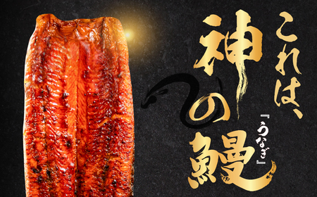 うなぎの新ブランド、開幕。『神の鰻』6尾 国産 特上 