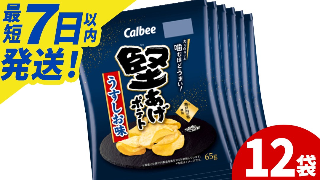 
                  堅あげポテト カルビー 「うすしお味」 ポテトチップス 12袋（65g×12袋）1ケース 総計780g【ポテチ Calbee かたあげポテト うすしお かたあげ しお セット 菓子 ポテト チップス スナック おやつ じゃがいも ジャガイモ お取り寄せ まとめ買い 詰め合わせ 詰合せ 人気 送料無料】 (BG030)
                