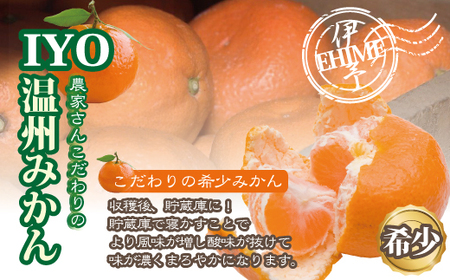 【2026年先行予約】みかん 愛媛 早生みかん 約4kg 【2026年12月上旬より順次発送予定】人気 数量限定 柑橘 伊予市｜B173