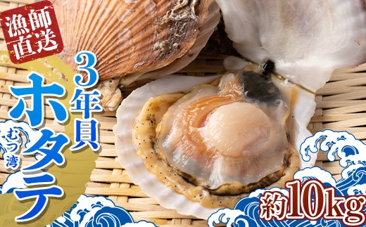 漁師直送 青森県 むつ湾 ホタテ (3年貝) 約10kg 【龍運丸 水産】 数量限定 ほたて 帆立 活ホタテ 人気 生ほたて 生ホタテ 刺身 貝 貝柱 殻付き 海鮮 新鮮 ほたて広場 魚介 青森県 平内町 東北 むつ湾 陸奥湾 漁協 BBQ バーベキュー キャンプ F21J-333