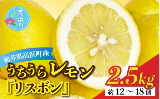 日本海で育ったうちうらレモン「リスボン2.5kg」皮まで丸ごと食べられます！｜農薬不使用