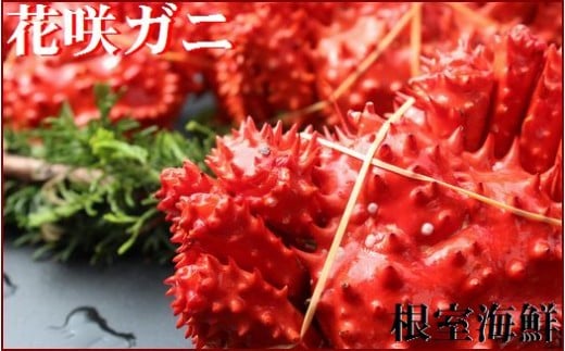 
            A-57004 【北海道根室産】花咲ガニ300～400g×6尾
          