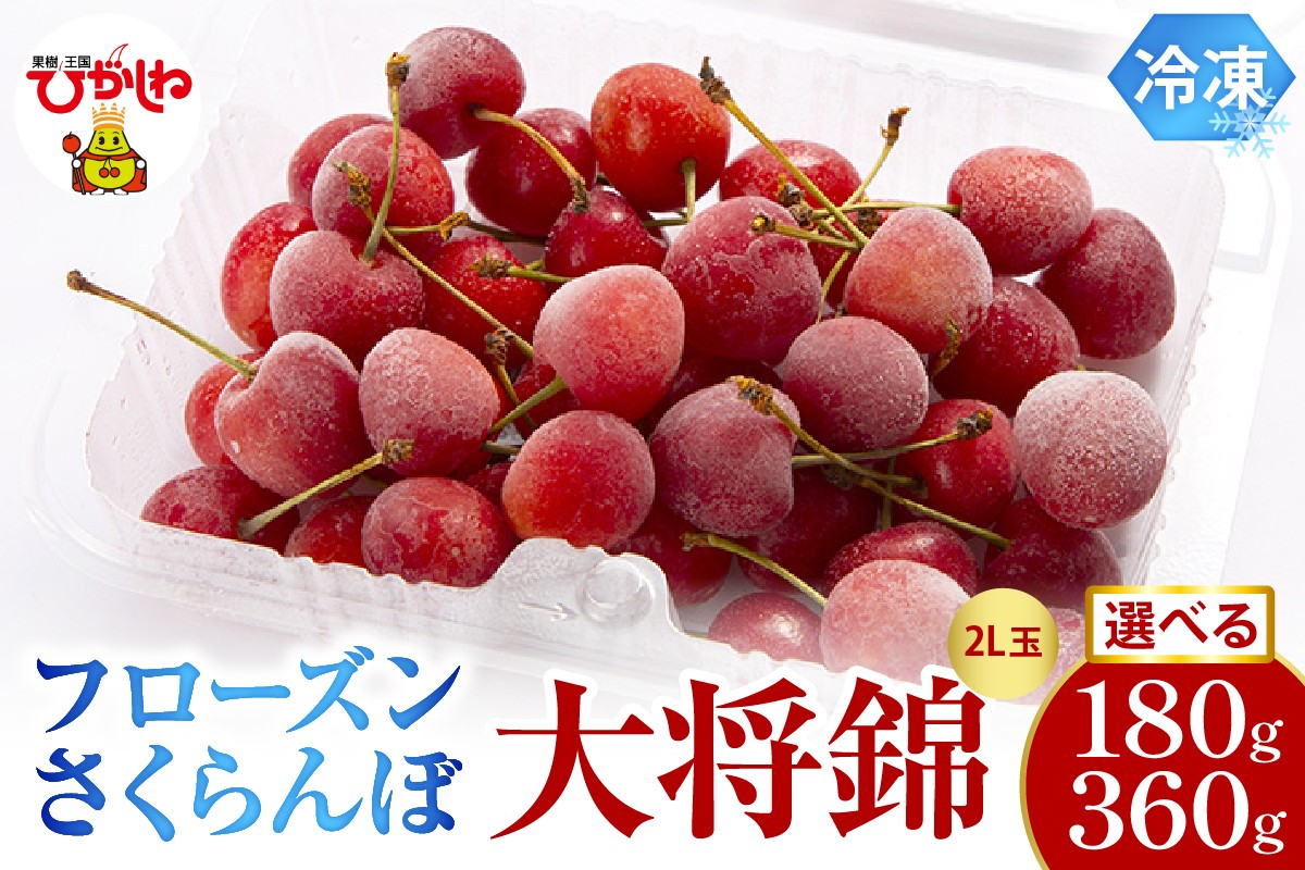 
                  ≪内容量が選べる≫　フローズンさくらんぼ「大将錦」180g入【1パック・2パック】有限会社佐藤錦提供 山形県 東根市 hi029-042-o
                