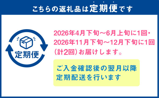 【年2回定期便】『まるで果物の王様！贅沢メロン』 2玉セット×2回 合計4玉 2色楽しめる特別な定期便 熊本県産 フルーツ くだもの 果物 メロン 果実 果肉 おやつ 国産