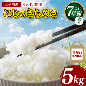 【6ヶ月定期便】【11月より毎月発送】【新米】令和7年産 立神米「にじのきらめき」5kg×6回（白米）｜茨城県 大子町 奥久慈 大子産米 精米 米 コンテスト 受賞 生産者 ふっくら もっちり 米（BT065）