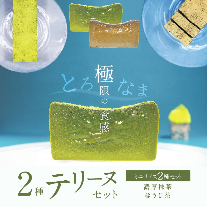 【ふるさと納税】ミニサイズ 濃厚 抹茶 ほうじ茶 2種 テリーヌ セット グルテンフリー 保存料不使用 ホワイトチョコ 和 スイーツ デザート おやつ なめらか 冷凍 国産 専門店 人気 安心 安全 フレンチシェフ 愛知県 碧南市 お取り寄せ お取り寄せスイーツ 送料無料