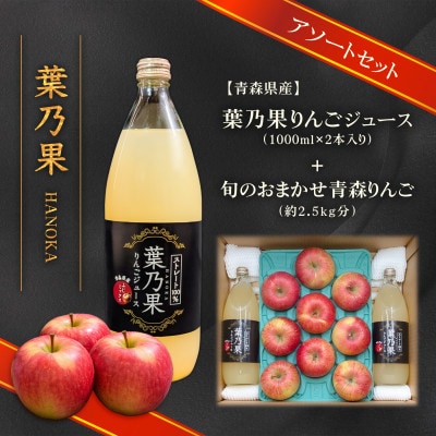 葉とらずりんごジュース2本&家庭用訳あり 青森県産りんご約2.5kg(品種おまかせ)　アソートセット【配送不可地域：離島・沖縄県】【1719483】