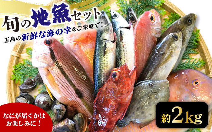 
            旬の地魚セット 2kg（エラ・内臓処理済） 冷蔵 鮮魚 魚介 刺身 五島市 / 五島FF [PBJ010]
          