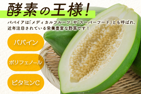 青パパイヤ 堪能 3kgセット 酵素の王様・健康万能野菜 パパイア王子厳選 宮崎県産【A335】