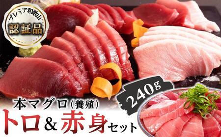 本マグロ（養殖）トロ＆赤身セット　240g　まぐろ