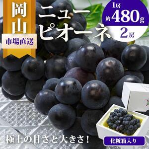 ニュー ピオーネ 2房（1房480g以上）約1kg 化粧箱入り ｜ ピオーネ