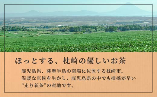 【のし付き・お中元】ほっこり煎茶 100g×3袋　A5−1C【配送不可地域：離島】【1508317】
