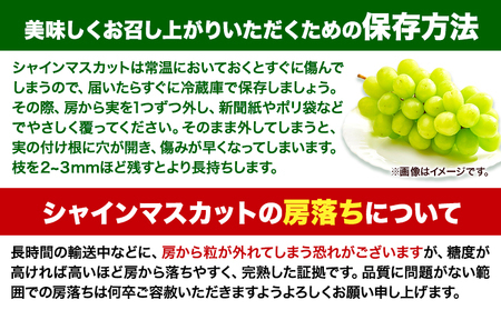 たたらみねらるシャインマスカット 約1kg　マスカット