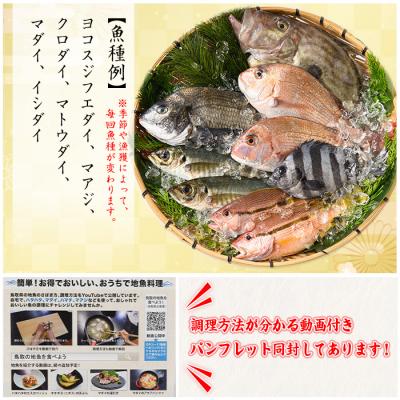 ふるさと納税 境港市 朝獲れ鮮魚ボックス「美保湾の恵み」(計2.5kg以上) |  | 02