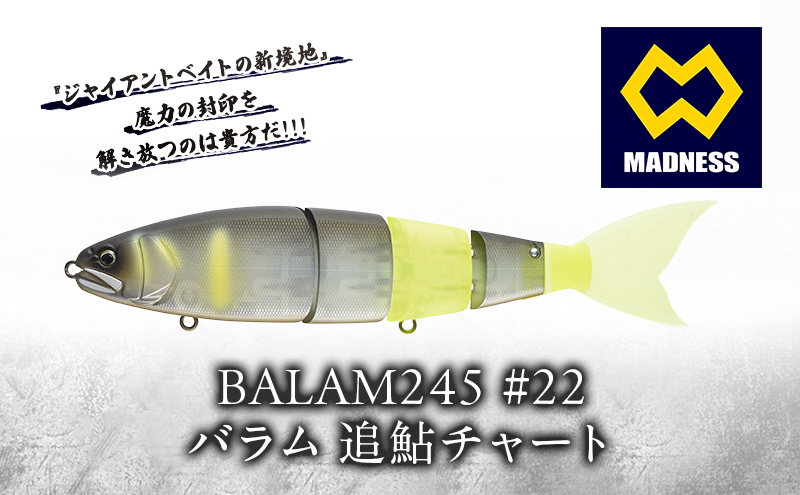 BALAM245 #22 バラム 追鮎チャート〈マドネス、ビックベイト、スイムベイト、ジャイアントベイト、釣り、バス釣り、ルアー、釣り具、スポーツ〉雑貨 日用品