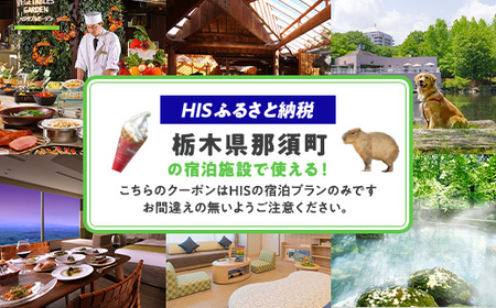 HISふるさと納税宿泊予約専用クーポン（栃木県那須町）3,000円分｜宿泊 宿泊券 旅行 旅行券 旅券 クーポン 旅 トラベル お出かけ 温泉 宿泊予約 HIS 那須 〔B-114〕