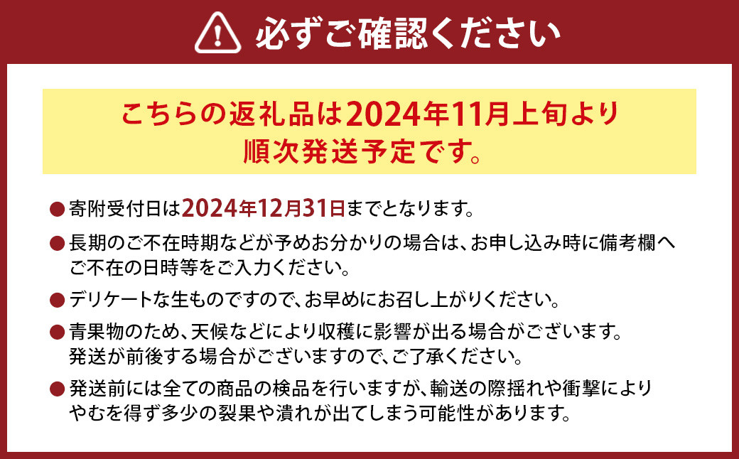 にしだ果樹園の熊本県産月読み果実3色詰め合わせ(3品種)