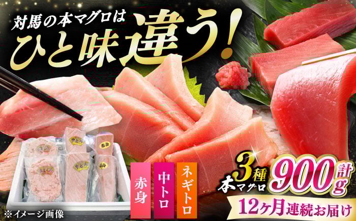 
            【全12回定期便】 対馬産 本マグロ 3種 計900g（赤身/中トロ/ネギトロ）《対馬市》【対海】 冷凍配送 食べ比べ 贈り物 魚介類 [WAH042]
          