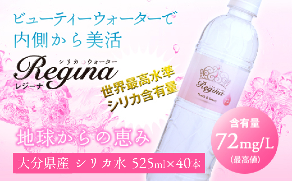シリカウォーター Regina（レジーナ）40本