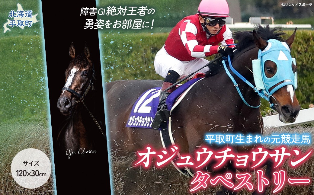 
                  【オジュウチョウサン】タペストリー【ふるさと納税 人気 おすすめ ランキング 馬 競馬 競走馬 オジュウチョウサン グッズ 北海道 平取町 びらとり 送料無料】 BRTV016
                