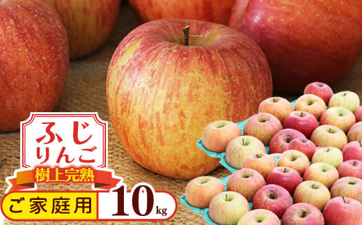 
《訳あり》ご家庭用 ふじりんご 10kg 山形県産 2024年産 令和6年産 【2024年12月頃より順次発送予定】（フードロス対応・食品ロス・規格外・SDGs・生産者支援）　020-B-NG010
