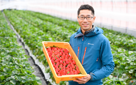 M-CF1.【2月～3月上旬発送】減農薬いちご「古都華」4パック 特別栽培農産物 ※配送地域限定