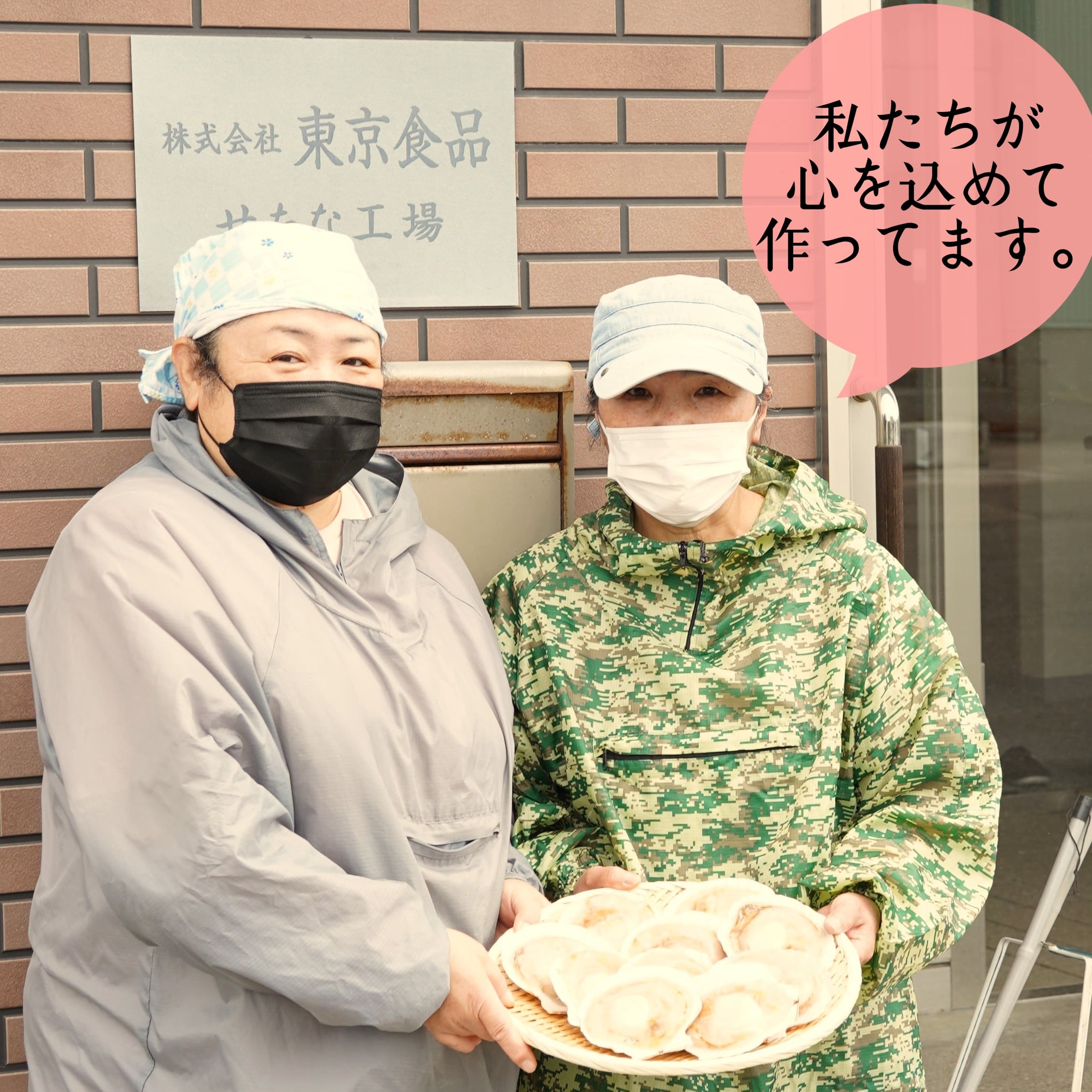 北海道産ほたて片貝　10枚入り　ウロ処理、洗浄済み殻付きほたて_イメージ4