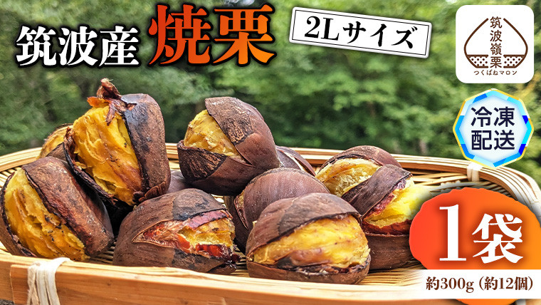 
《 1月1日 受付終了 》 筑波産の焼栗 1袋 約300g 栗 くり 焼栗 おやつ スイーツ 茨城 和栗 果物 フルーツ 秋 茨城県産 [EK003sa]
