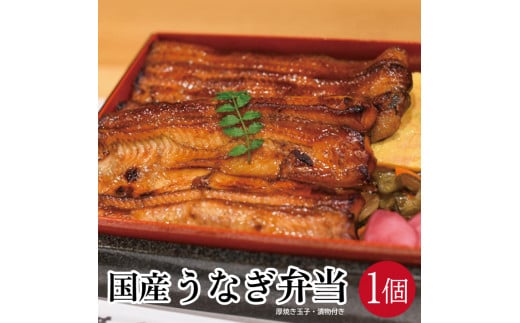 国産うなぎ弁当　1人前×1個 SA1612