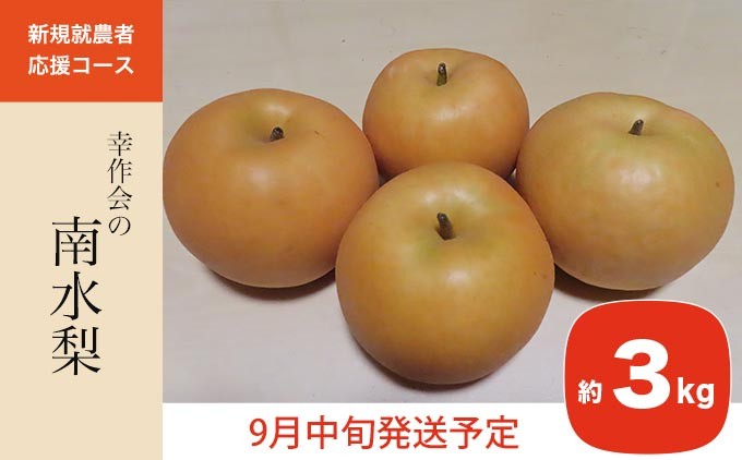 
            梨 南水 約3kg ［新規就農者応援コース 幸作会］ 梨 なし フルーツ 果物  長野県産 信州 数量限定 【2025年9月中旬発送】［K-42］
          