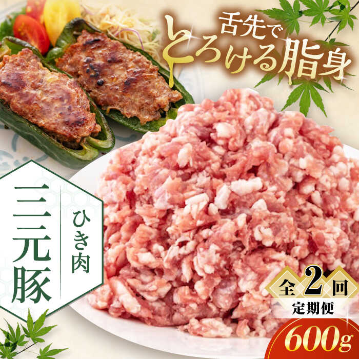 【ふるさと納税】 定期 三元豚 ひき肉600g ▼ 全2回 定期便《喜茂別町》【平田牧場】 肉 豚肉 ミンチ 豚ミンチ 餃子 つくね 冷凍配送 定期便 定期 北海道 平田牧場 おすすめ [AJAP118] 14000 14000円