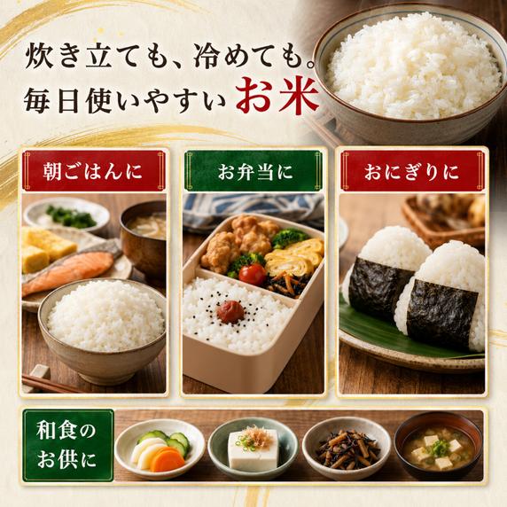 【定期便6回】 つや姫 5kg(5kg×1袋) 令和8年産 新米 先行予約 