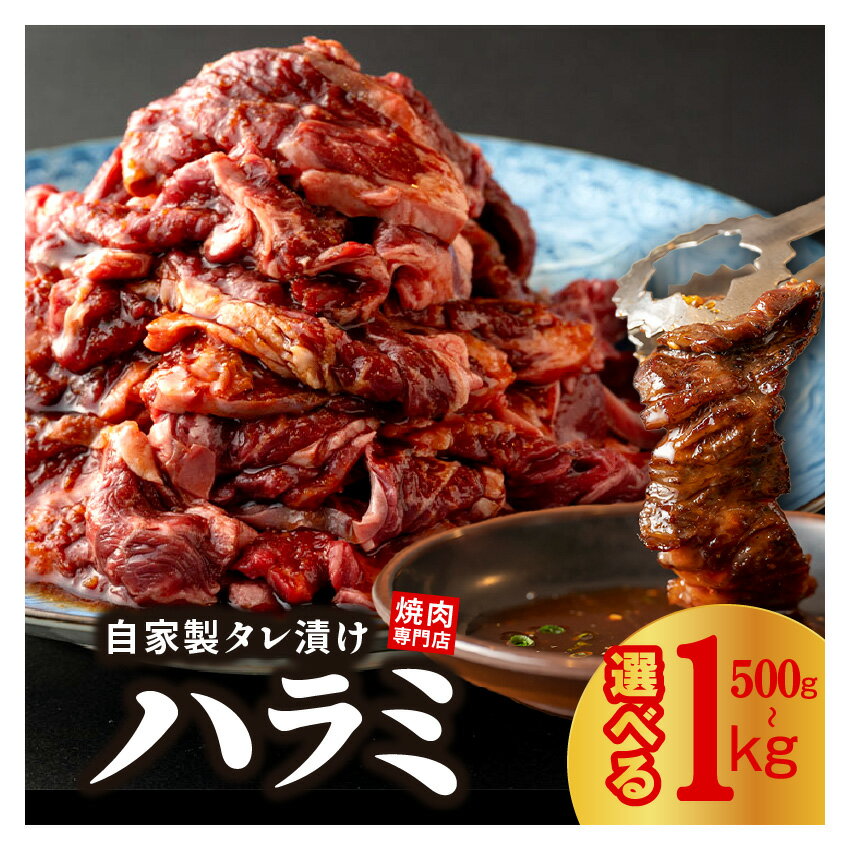 【ふるさと納税】焼き肉専門店 ハラミ サガリ 自家製 タレ漬け 500g 250g×2 / 1kg 250g×4 選べる 内容量 焼肉 BBQ 牛ハラミ 牛肉 お肉 肉 味付け肉 プロの味 簡単調理 真空パック 小分け セット 冷凍 大阪府 泉佐野市 送料無料 肉の泉佐野