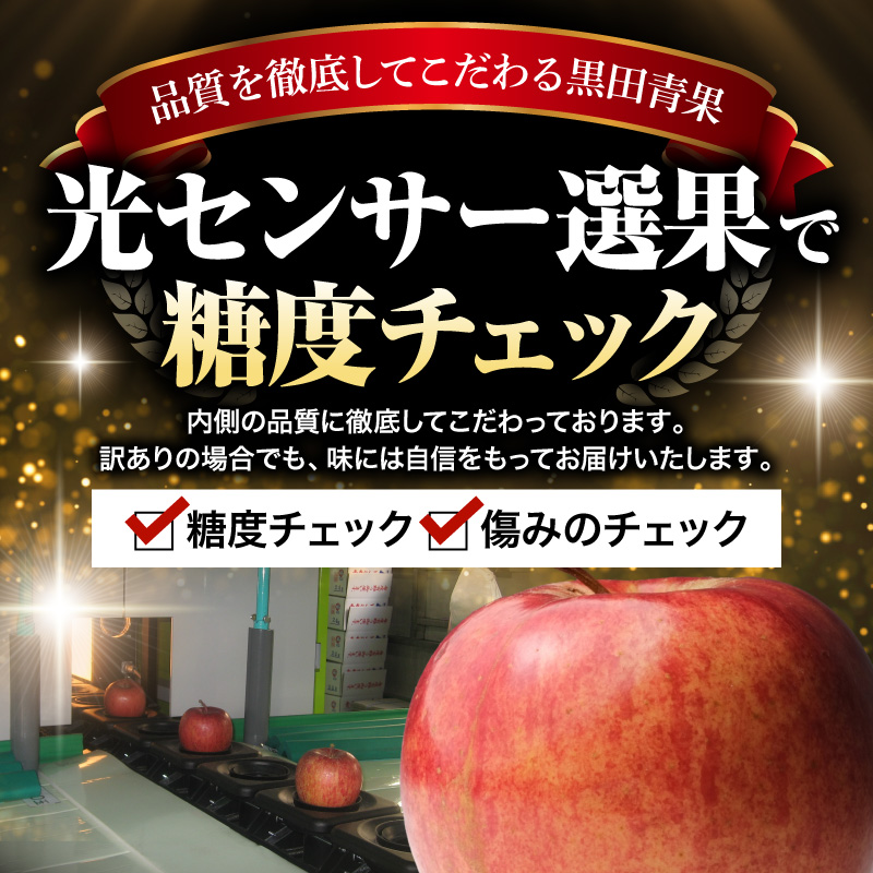 【2027年2月前半発送】 【ちょっと訳あり】 りんご 約10kg サンふじ 青森産