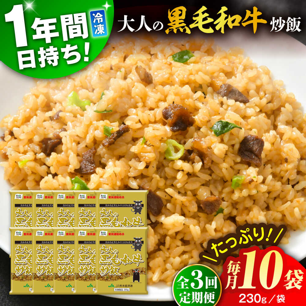 【ふるさと納税】【全3回定期便】熊本県産 こだわり炒飯 大人の黒毛和牛炒飯 計2.3kg (230g×10)【ユーユーフーズ株式会社】[BHCS019]