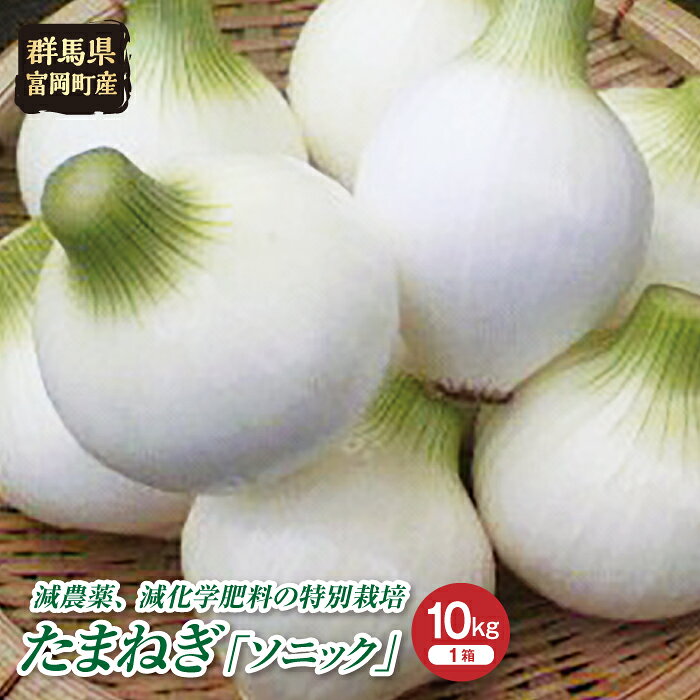 【ふるさと納税】 ≪先行予約≫【特別栽培農産物】玉ねぎ「ソニック」 10kg （2027年5月中旬より随時出荷） F20E-485