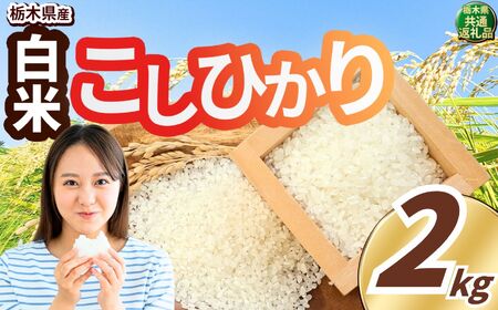 【ふるなびWEEK対象】こしひかり 白米 2kg FN-Limited-PR