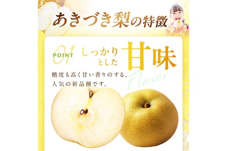 梨／あきづき【先行予約／限定300】大玉・京丹後産 あきづき梨 5kg（8～12玉）（2024年9月中旬～発送）梨セット・梨詰め合わせ・新品種（「新高×豊水」＋「幸水」）梨 2024年発送