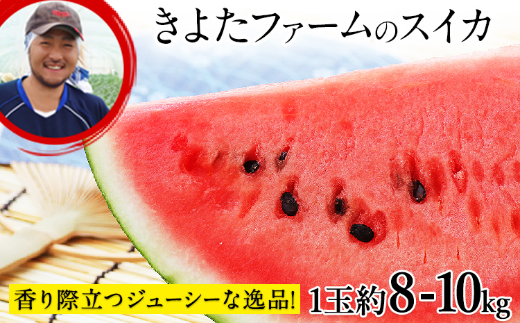 【先行予約】『きよたファーム』のすいか 1玉約8〜10kg 《2026年5月下旬-6月下旬頃出荷》 熊本県玉名郡玉東町『きよたファーム』すいか フルーツ 果物 熊本県産