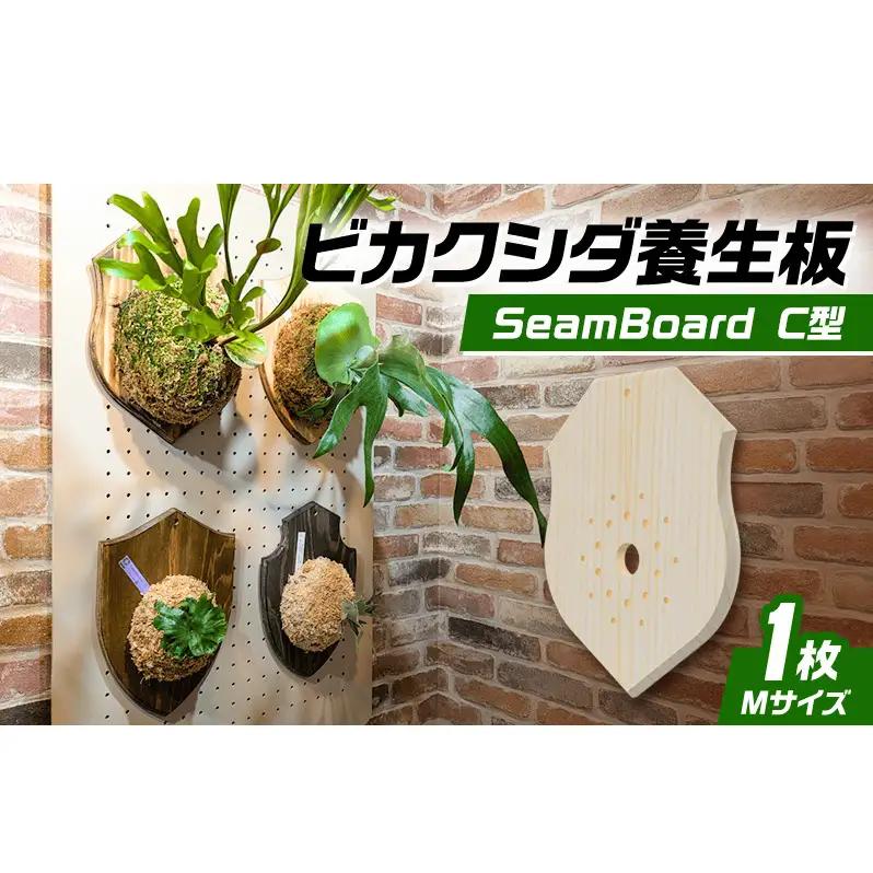 ビカクシダ板 SeamBoard C型 コウモリラン 壁掛け ビカクシダ板【Mサイズ】【送料無料】