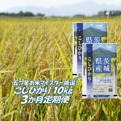 ふるさと納税 茨城町 【毎月定期便】こしひかり 10kg (5kg×2袋) 精米 茨城県産 お米 マイスター厳選全3回