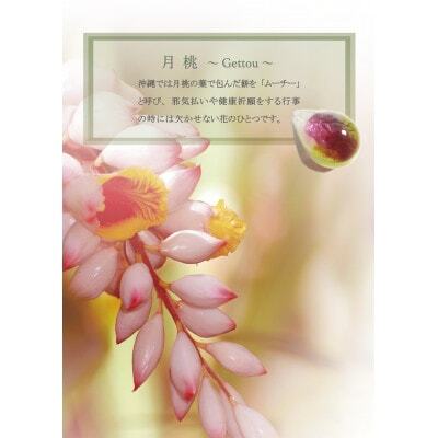 長七屋の月桃ネックレス　14KGF　M(BOX付)【GeーGFーnec13ー3】証明書付【1711492】