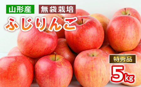 山形産無袋栽培ふじりんご特秀5kg【令和8年産先行予約】FS25-772