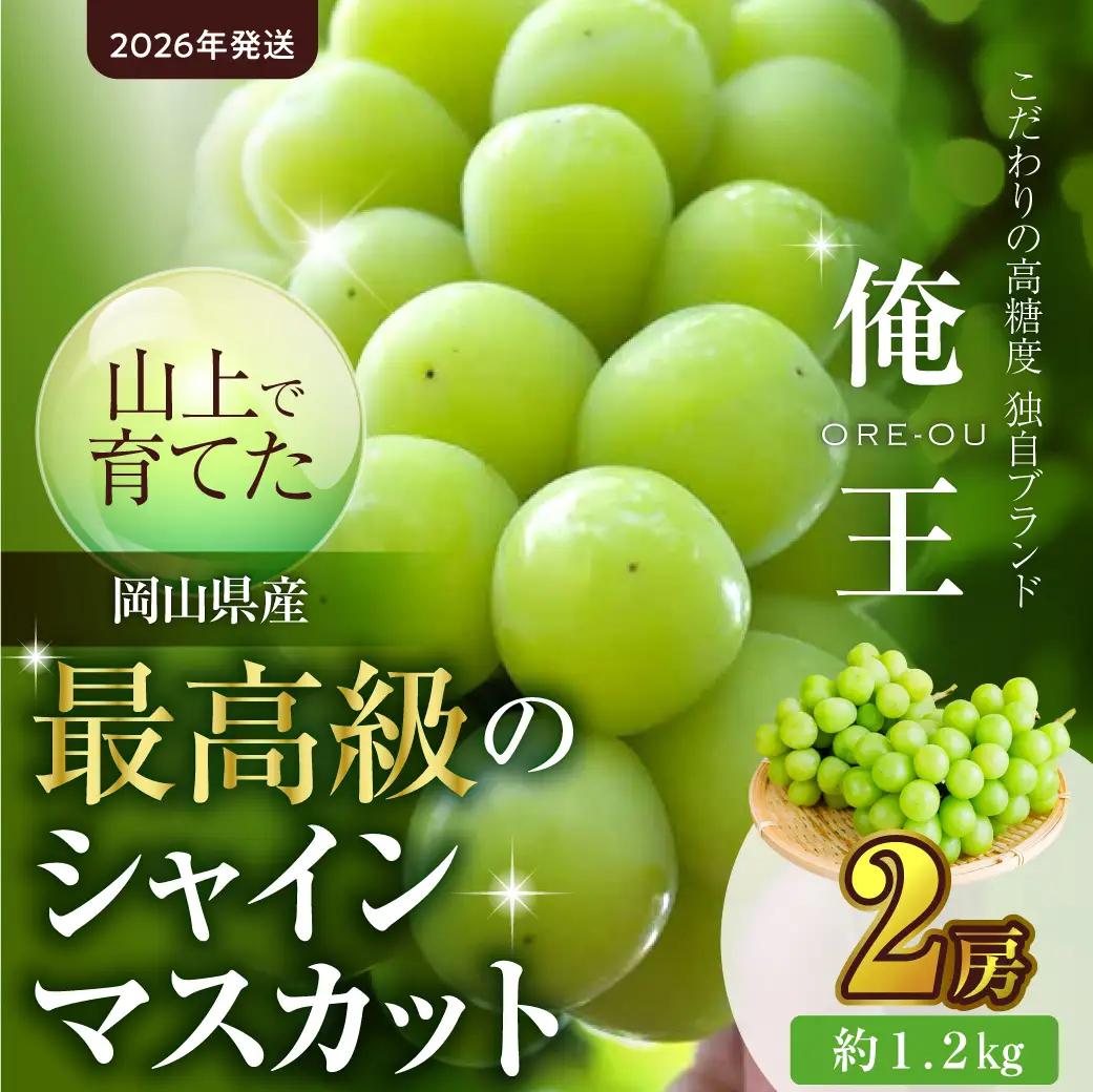 【2026年発送】最高級 シャイン マスカット「俺王」2房入り（10月初旬～10月下旬頃発送）【シャインマスカット】
