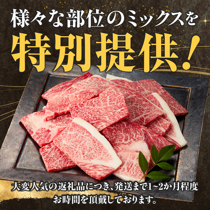 A4等級以上 宮崎牛 訳あり 焼肉 バラエティパック おためし500g（牛肉 肉 お肉 黒毛和牛 宮崎牛 ブランド牛 内閣総理大臣賞4大会連続受賞）_イメージ2