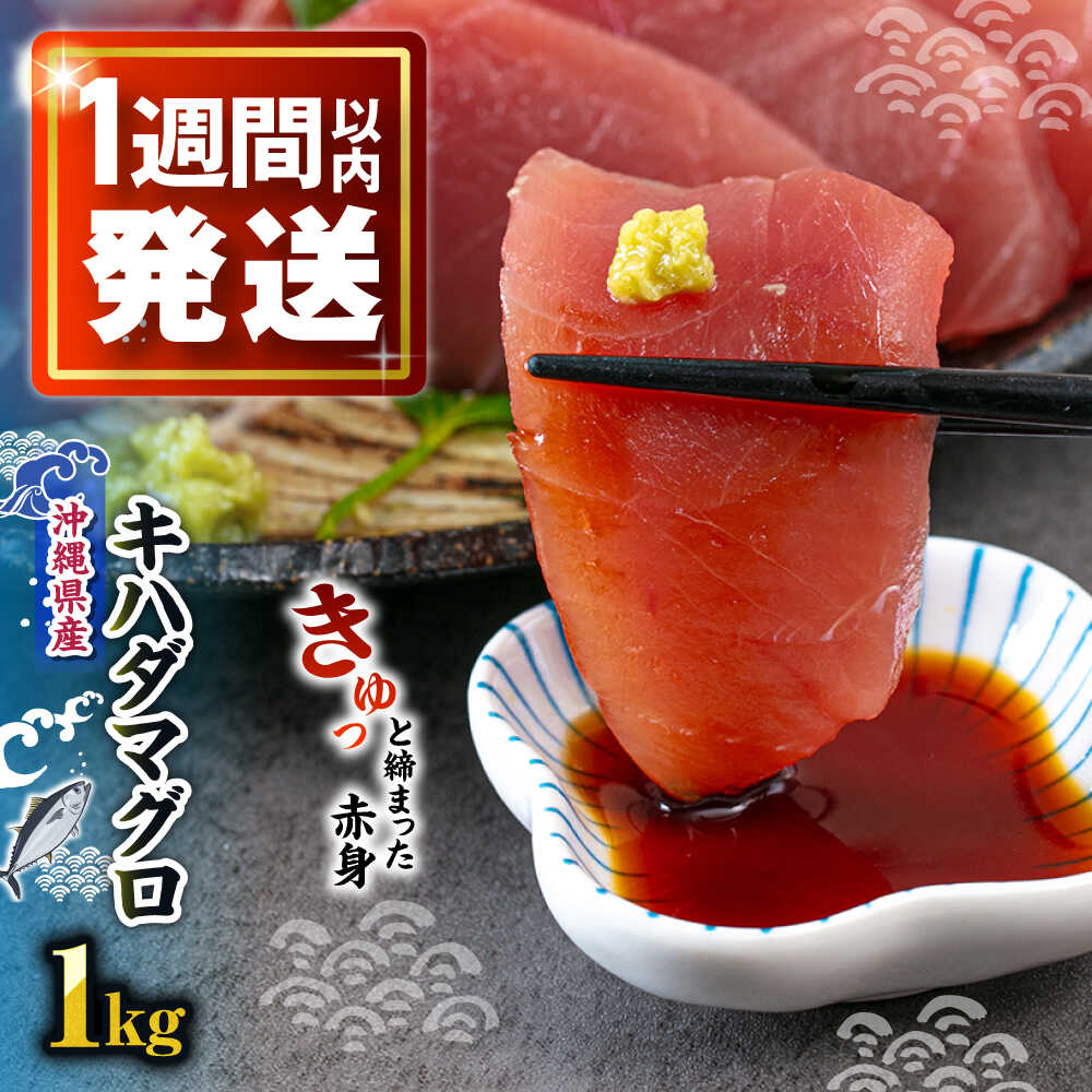 【ふるさと納税】冷凍キハダマグロ 1kg (500g×2パック) マグロ まぐろ 小分け 冷凍 刺身 赤身 沖縄市 / 沖縄市漁業協同組合 パヤオ直売店[BCDZ001]