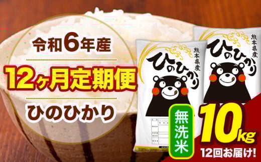 令和6年産 【12ヶ月定期便】  無洗米 米 ひのひかり 10kg《お申し込み月の翌月から出荷開始》熊本県 大津町 国産 熊本県産 無洗米 送料無料 ヒノヒカリ こめ お米